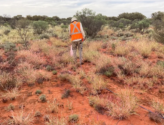 Read more about the article Kecaman atas Rencana yang Dinilai Mempercepat Ancaman Spesies Invasif Terbesar Australia